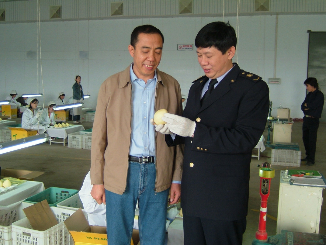 Quality inspection