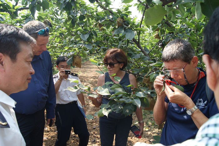 Israel inspection visit