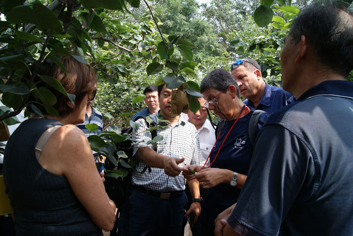 Israel inspection visit