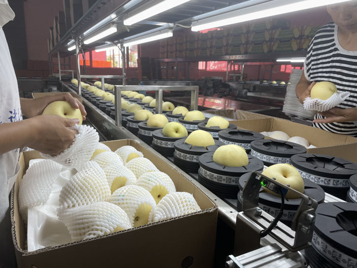 assembly line